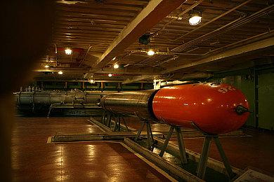 羞耻度爆表 《辐射76》推出新款海豚动力装甲